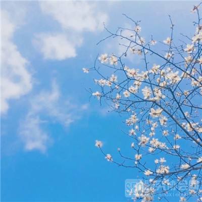 乐嗨嗨无敌冒险王变态版下载